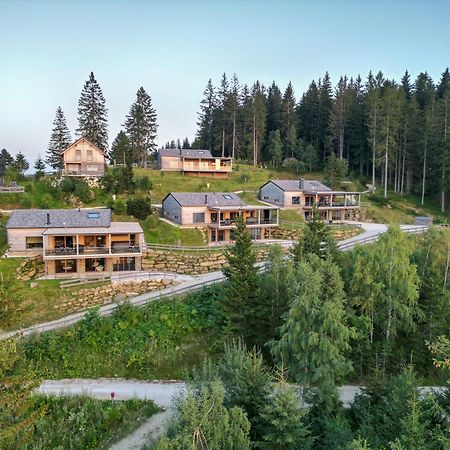 Brandlalm Chalets Gundisch ภายนอก รูปภาพ